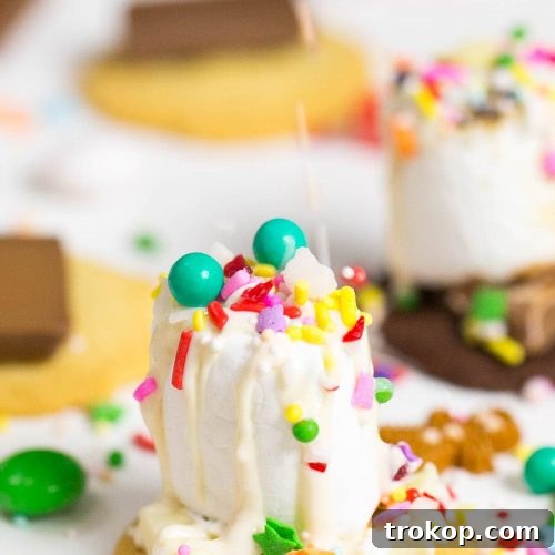 Holiday Cookie and Sprinkle S'mores recipe by Ashley Rose of Sugar and Cloth, and award winning DIY blog.