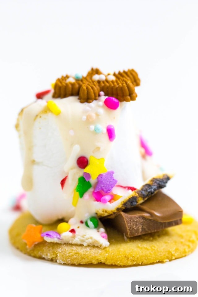 Delightful Holiday Cookie and Sprinkle S'mores, an easy and festive dessert idea