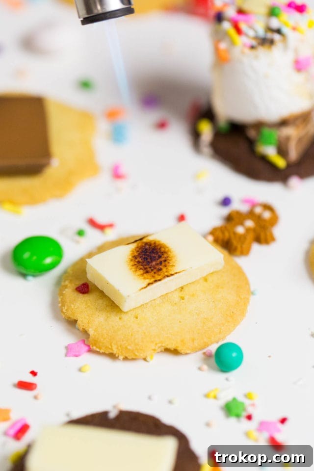 Step-by-step for Holiday Cookie and Sprinkle S'mores: Place cookie and chocolate