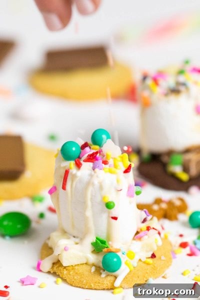 Close-up of a delightful Holiday Cookie and Sprinkle S'more with toasted marshmallow