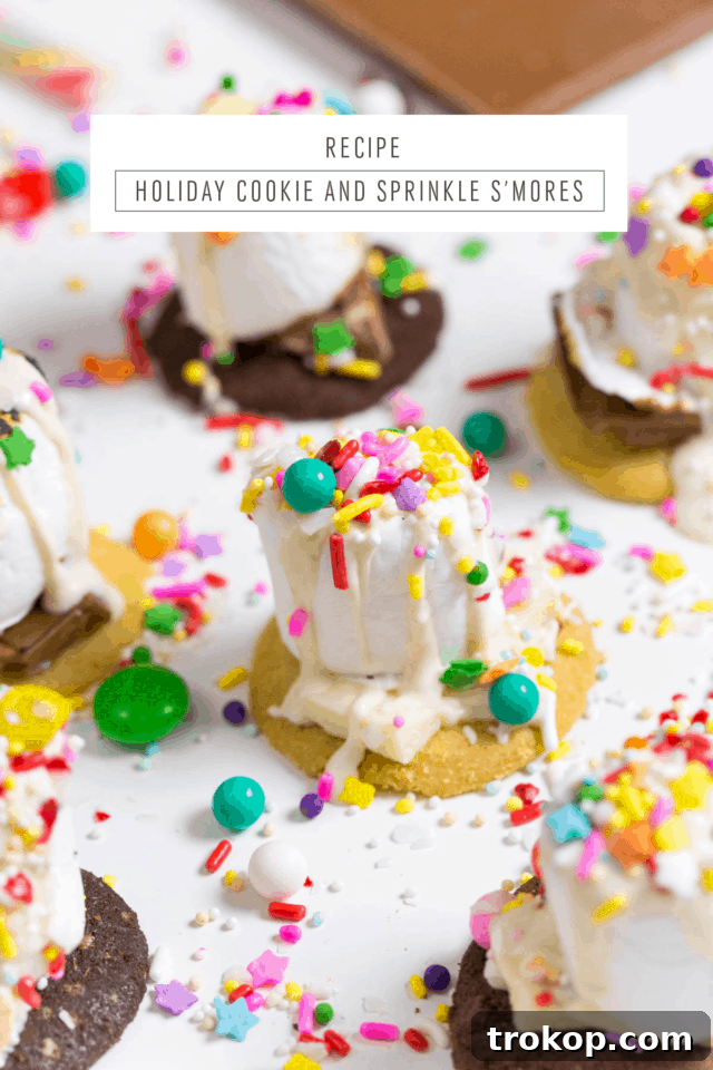 Delicious Holiday Cookie and Sprinkle S'mores with a rich chocolate drizzle