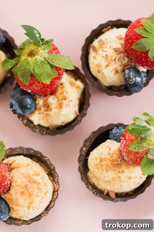 Exquisite Chocolate Fruit Cheese Cups, a quick and charming dessert recipe by Sugar and Cloth