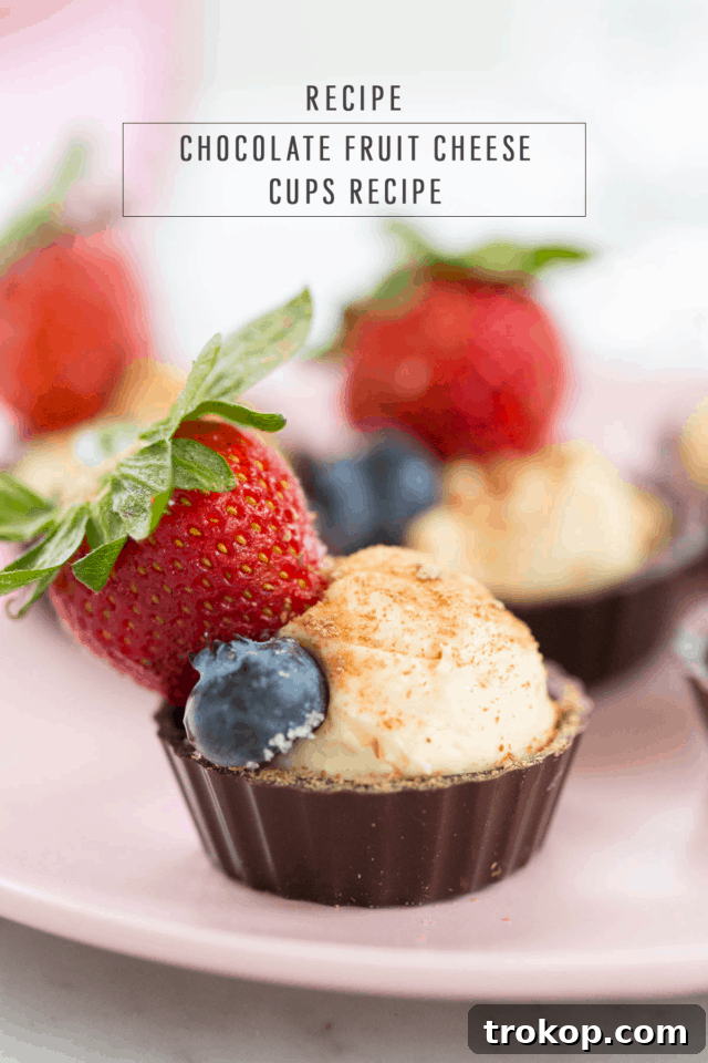 A finished plate of chocolate fruit cheese cups, garnished and ready to be served
