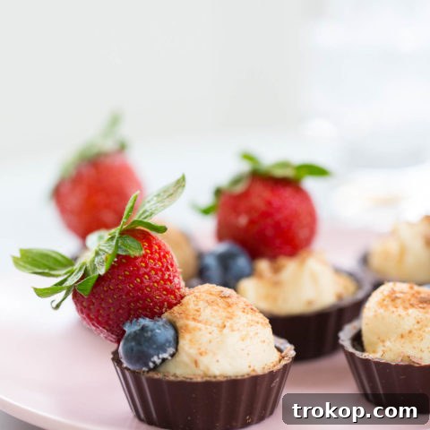 A close-up shot of a Chocolate Fruit Cheese Cup, highlighting its rich textures and vibrant garnishes.