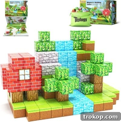 Magnetic Blocks-Build Mine Magnet World Edition