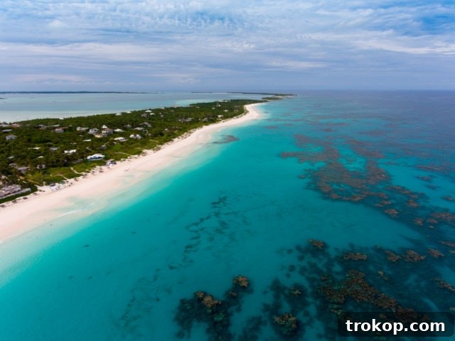 Harbour Island Pink Sand Escape 23 Stunning turquoise water and beach on Harbour Island