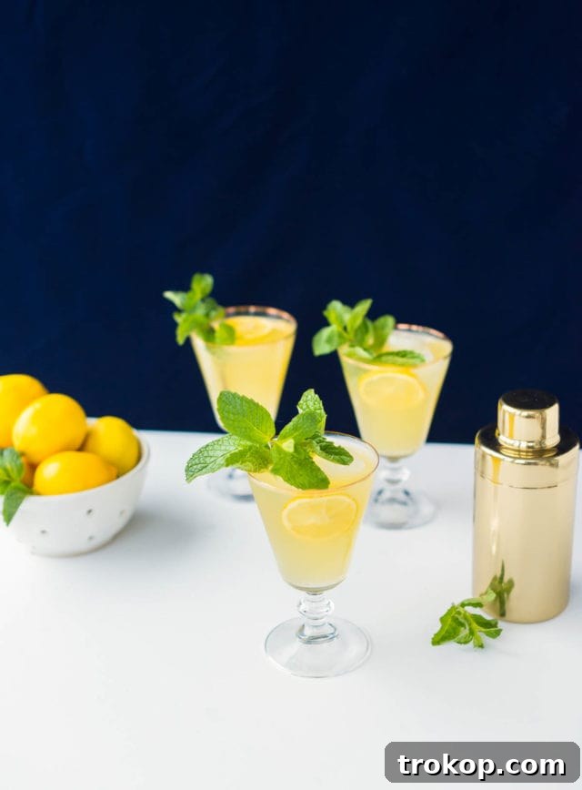 Sparkling Mint Meyer Lemonade served in elegant glasses, garnished with mint and lemon slices.