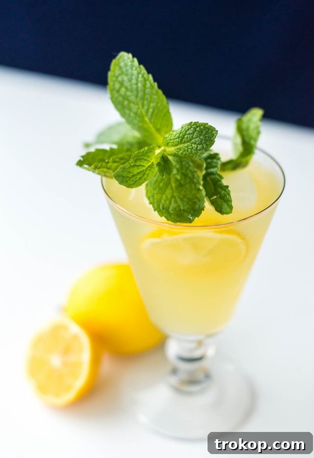 Close-up of hands preparing a sparkling Meyer lemonade cocktail in a shaker.