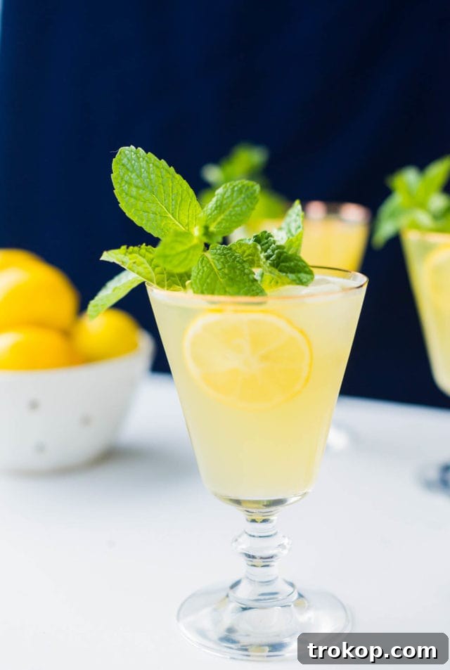 Two glasses of sparkling Meyer lemonade mocktails with mint and lemon garnishes.