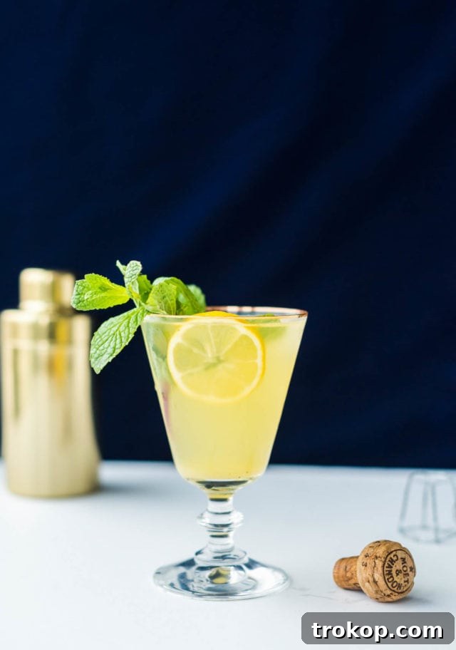 Ingredients for Sparkling Mint Meyer Lemonade Cocktail laid out on a table.