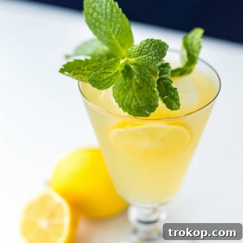 Sparkling Mint Meyer Lemonade by Sugar & Cloth, an award winning DIY and recipe blog.