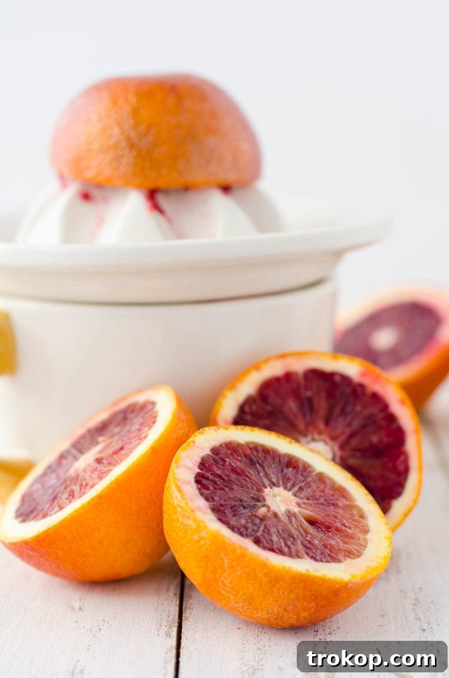 Vibrant Blood Orange Sangria 5 Two glasses of Blood Orange Sangria, beautifully garnished with blood orange slices, ready to be served.