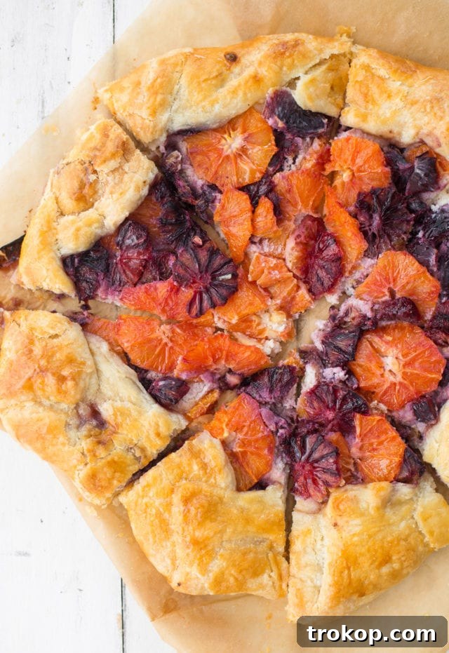 Beautifully composed Citrus Galette on a serving dish, showcasing its colorful filling and golden crust.