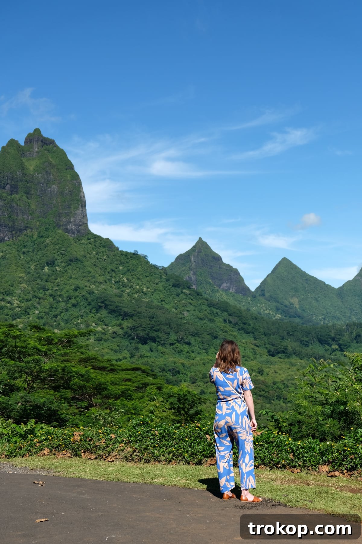View of Moorea's lush landscapes and pineapple fields