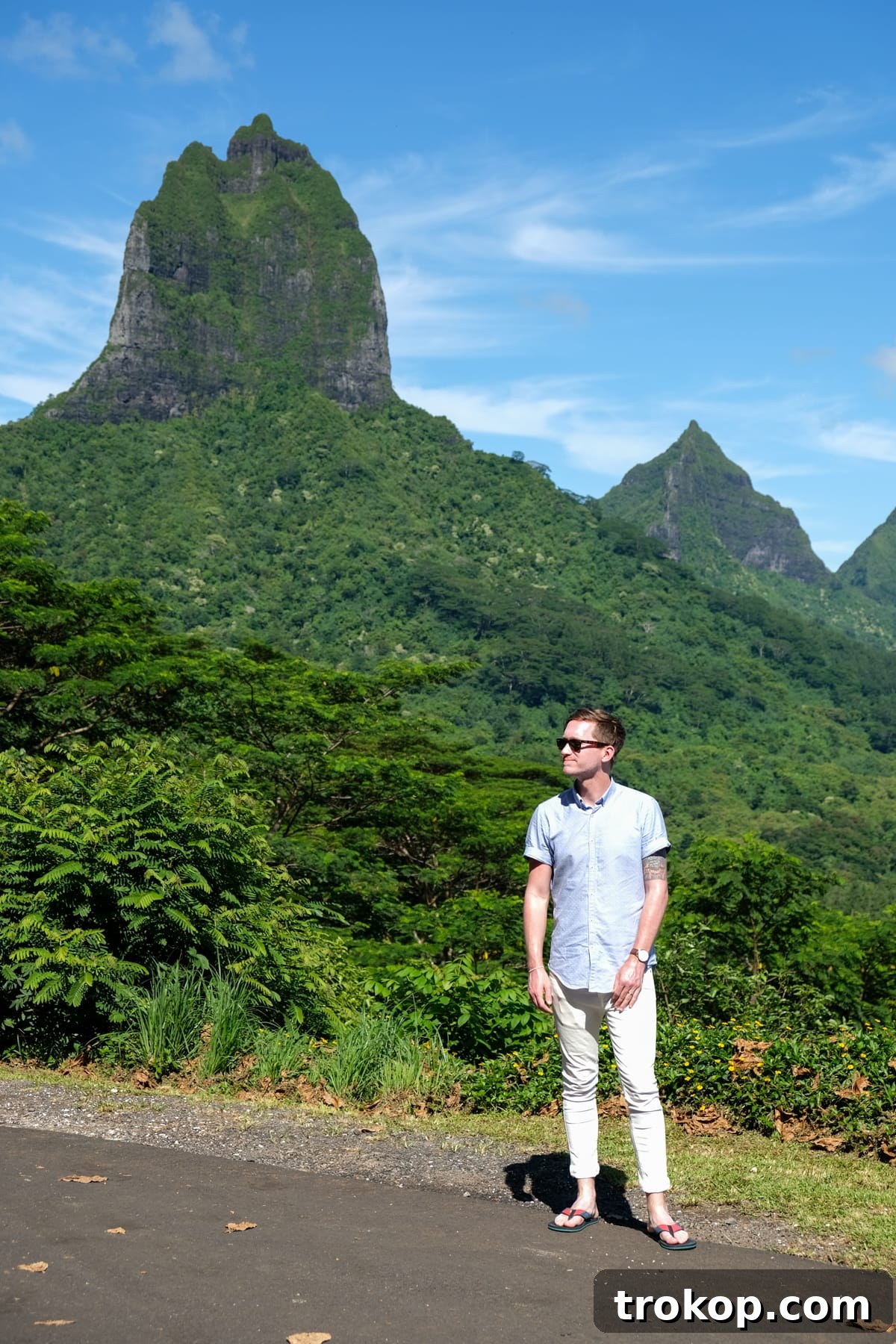 Panoramic view from Belvedere lookout in Moorea
