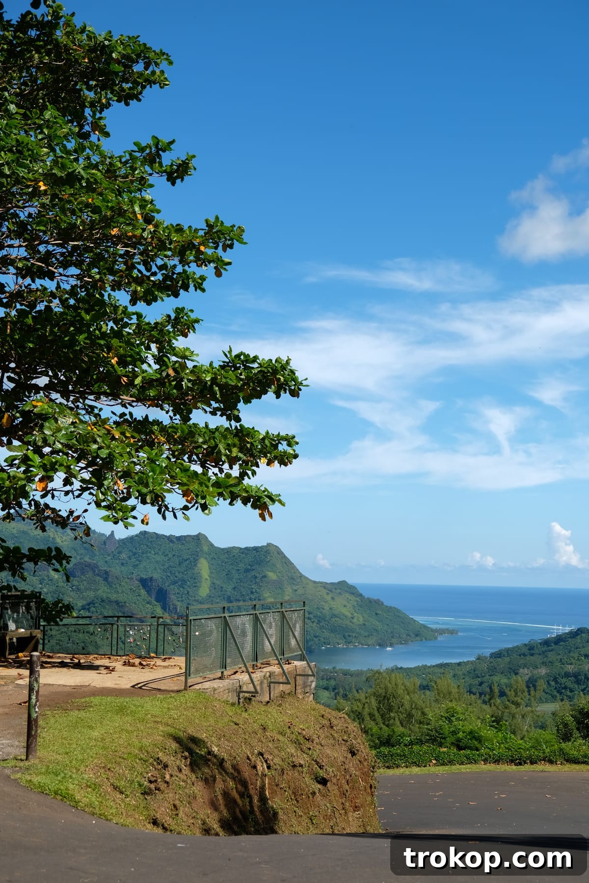 Couple at a scenic viewpoint overlooking Moorea's bays