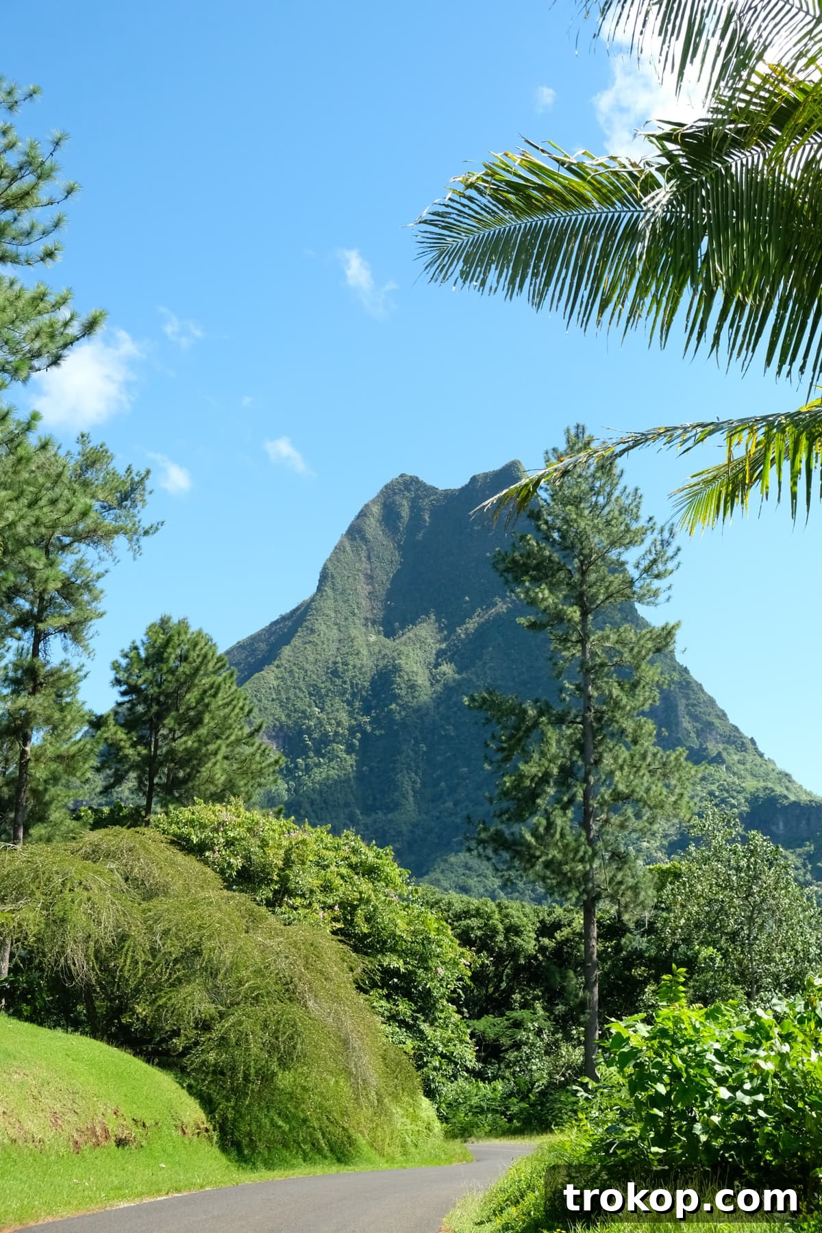 Roadside fruit stand on the island of Moorea