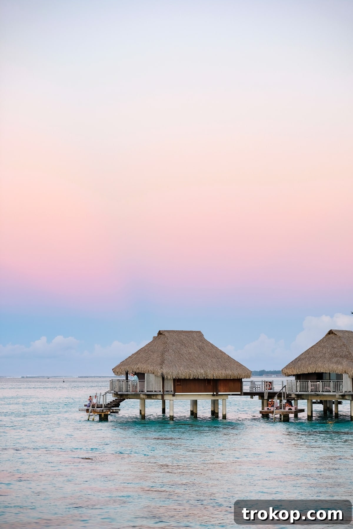 Couple enjoying a romantic dinner by the water in Moorea