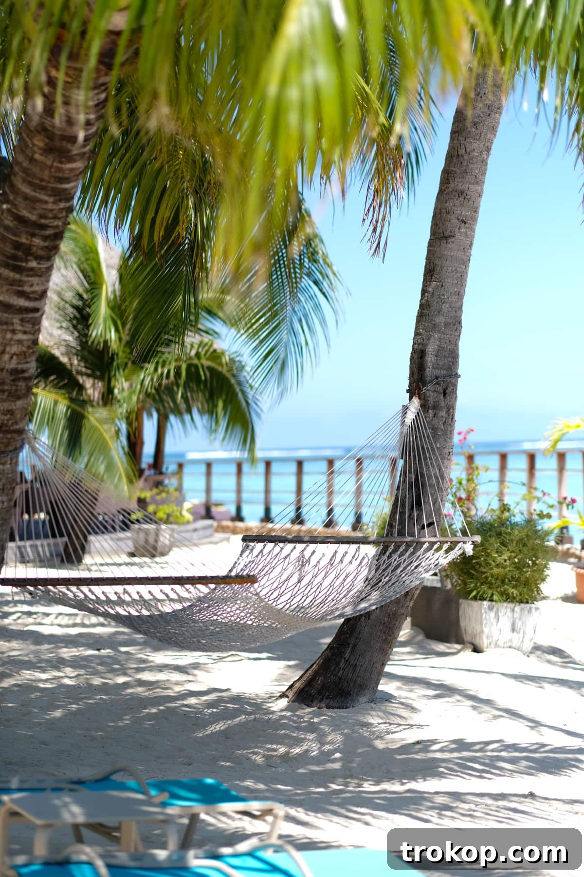Palm trees swaying on a beautiful beach in Moorea