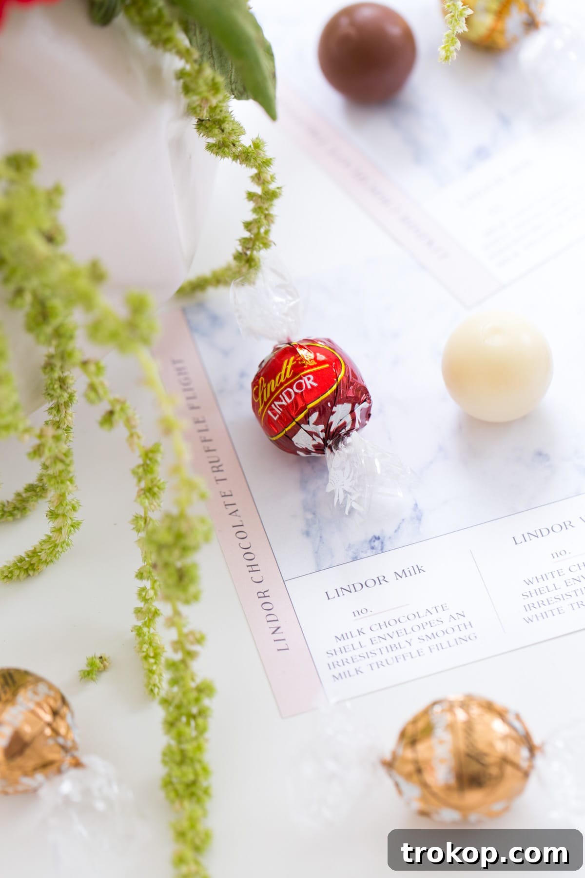 DIY Chocolate Truffle Tasting Flight Kit 4 Arrangement of Lindt LINDOR truffles on the printed tasting card.