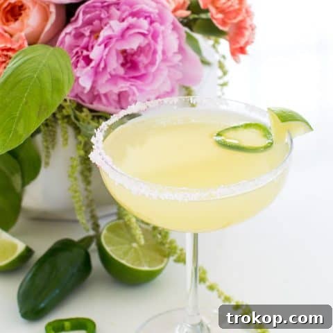 photo of a garnished skinny margarita recipe with salt