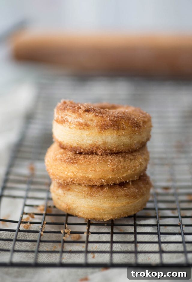 Freshly made cinnamon sugar donuts, glistening with sugar and spice, ready to be enjoyed.