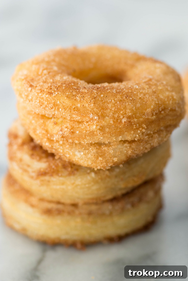 Easy cinnamon sugar donuts by Sugar & Cloth, an award winning DIY and recipes blog. Another close-up of delicious cinnamon sugar donuts.