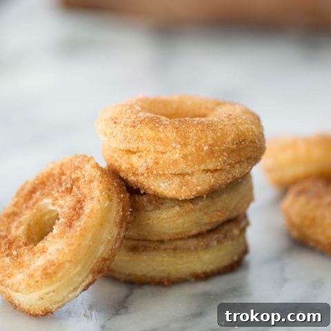 Easy cinnamon sugar donuts by Sugar & Cloth, an award winning DIY and recipes blog.