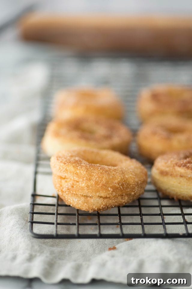 Cinnamon sugar donuts being fried to a golden perfection in a deep pan.