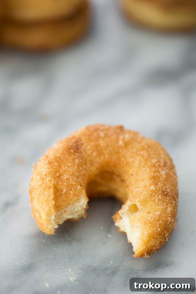 A close-up shot of a cinnamon sugar donut, showing its flaky layers and sugary coating.