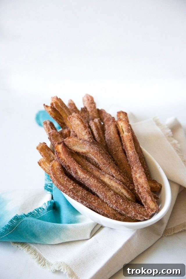 Crispy Cinnamon Churros with a side of rich, dark chili chocolate tequila dipping sauce, perfect for a festive treat.