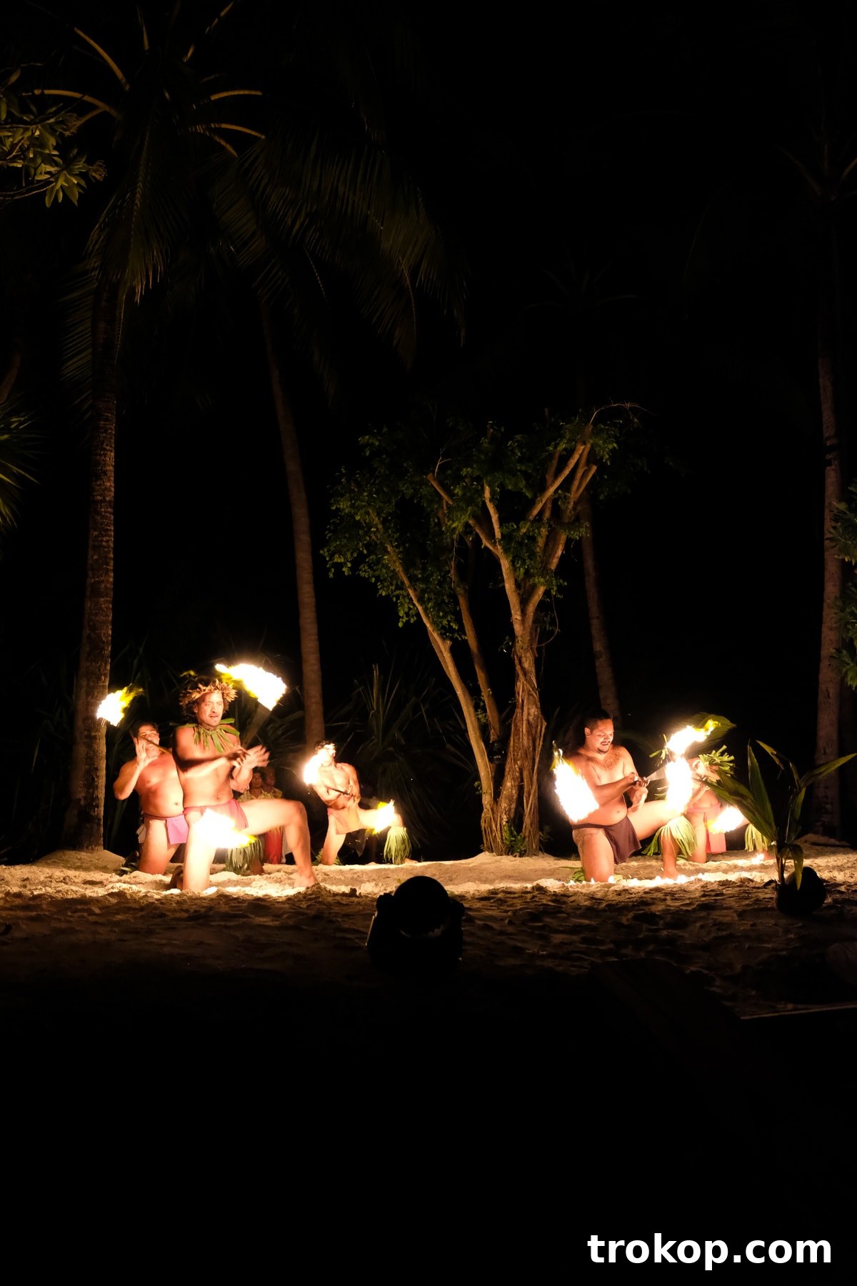 Guests enjoying the vibrant Polynesian cultural performance