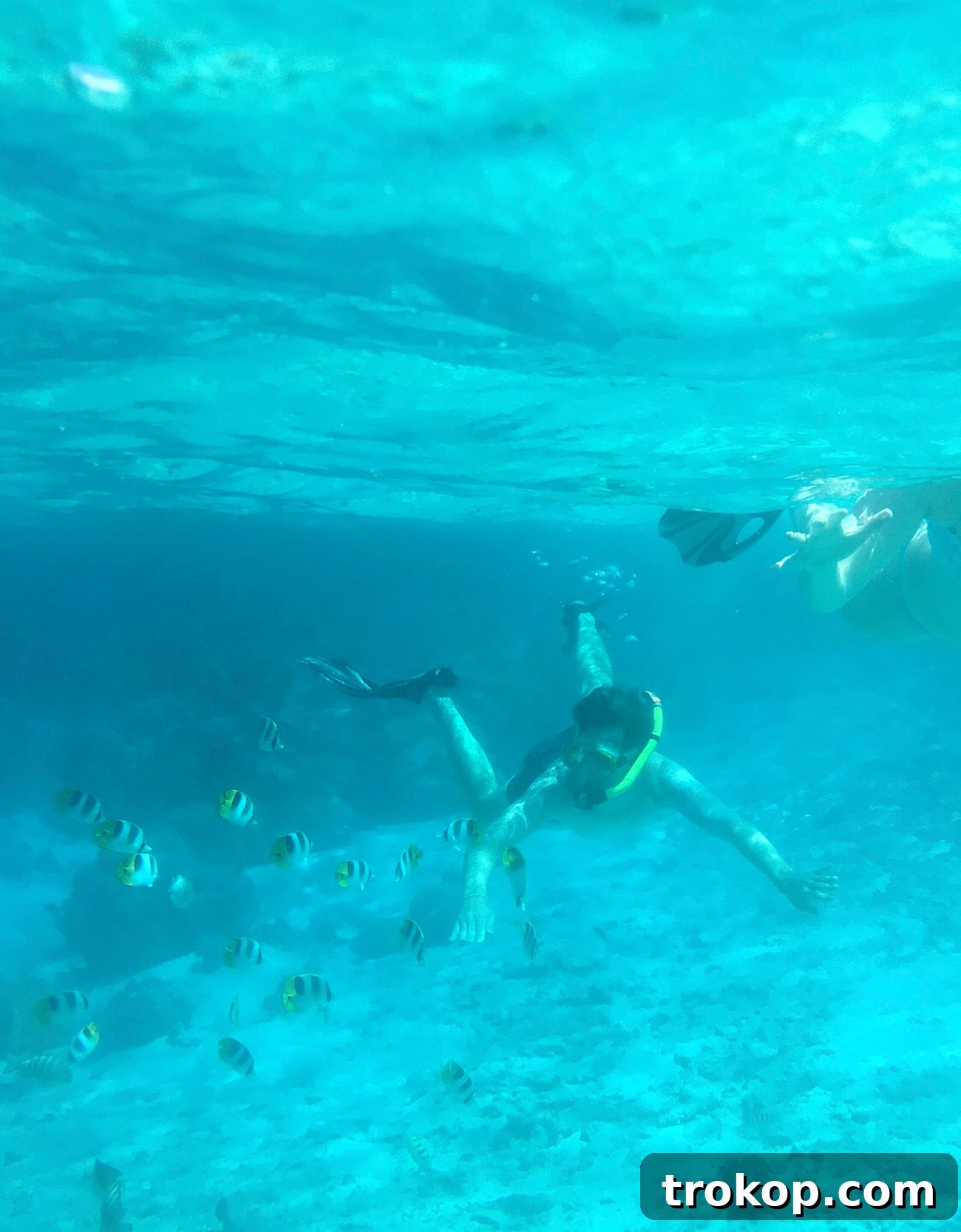 Snorkeling in the vibrant coral gardens of Bora Bora with colorful fish