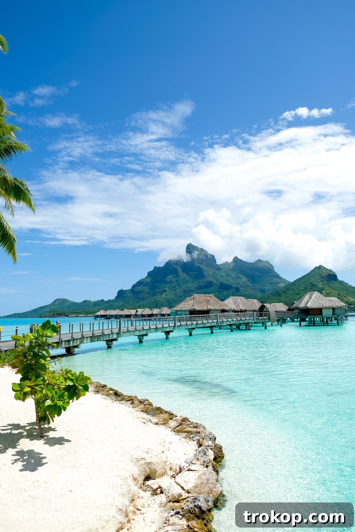 Idyllic beach scene at Four Seasons Bora Bora with palm trees and white sand