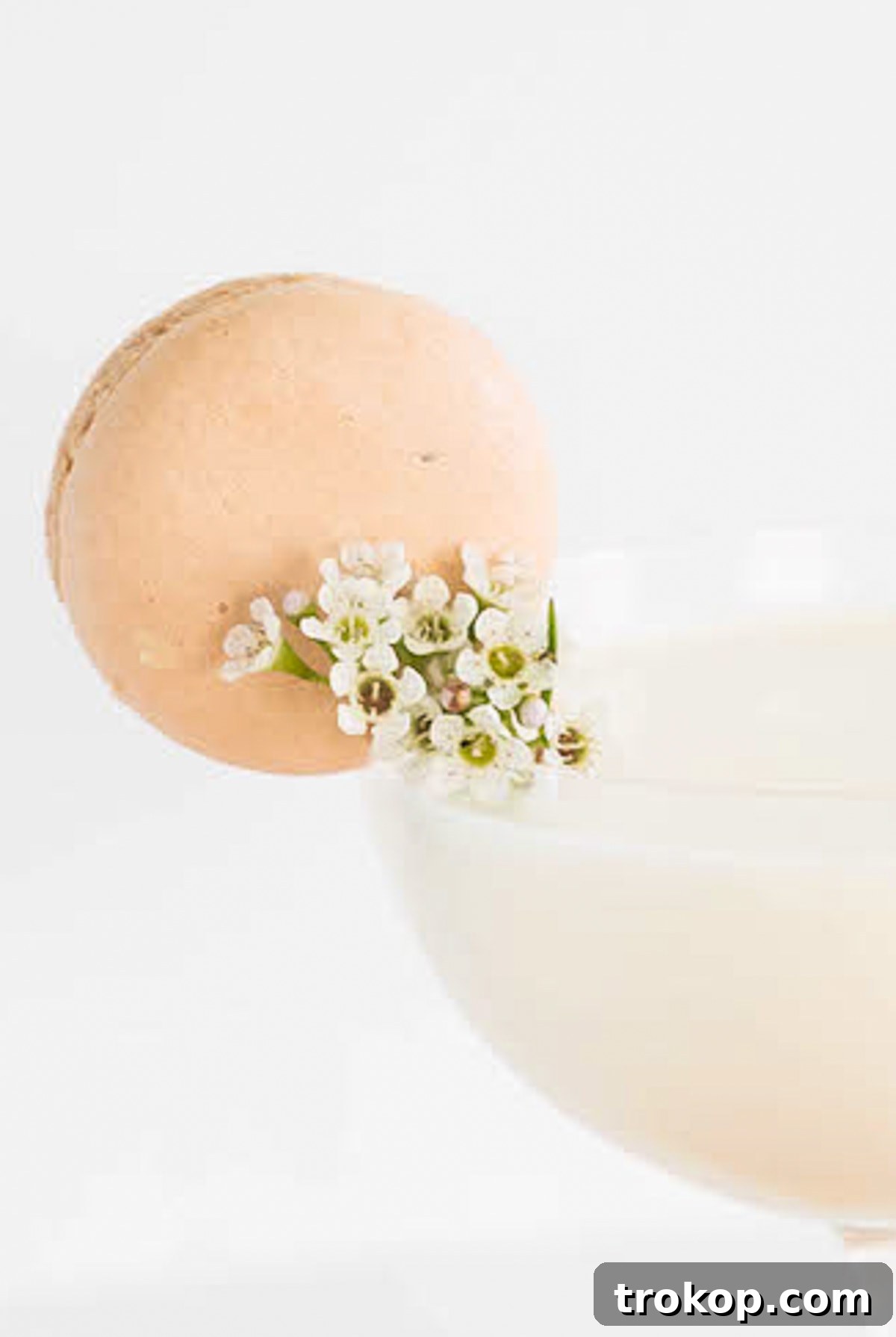 Glossary of Macarons Cocktail by Sugar & Cloth, an award winning DIY, recipe, and home decor blog, featuring a macaron-garnished drink.
