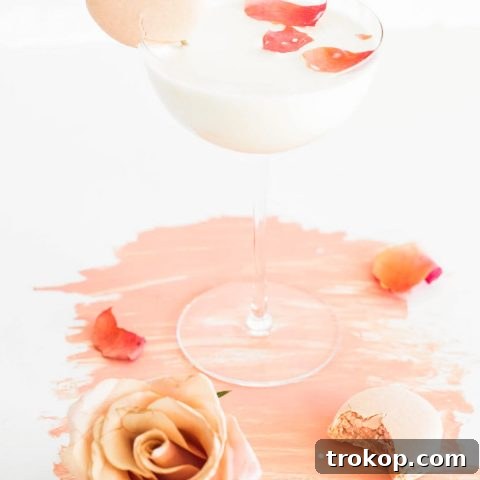 Macaron Cocktail by Sugar & Cloth