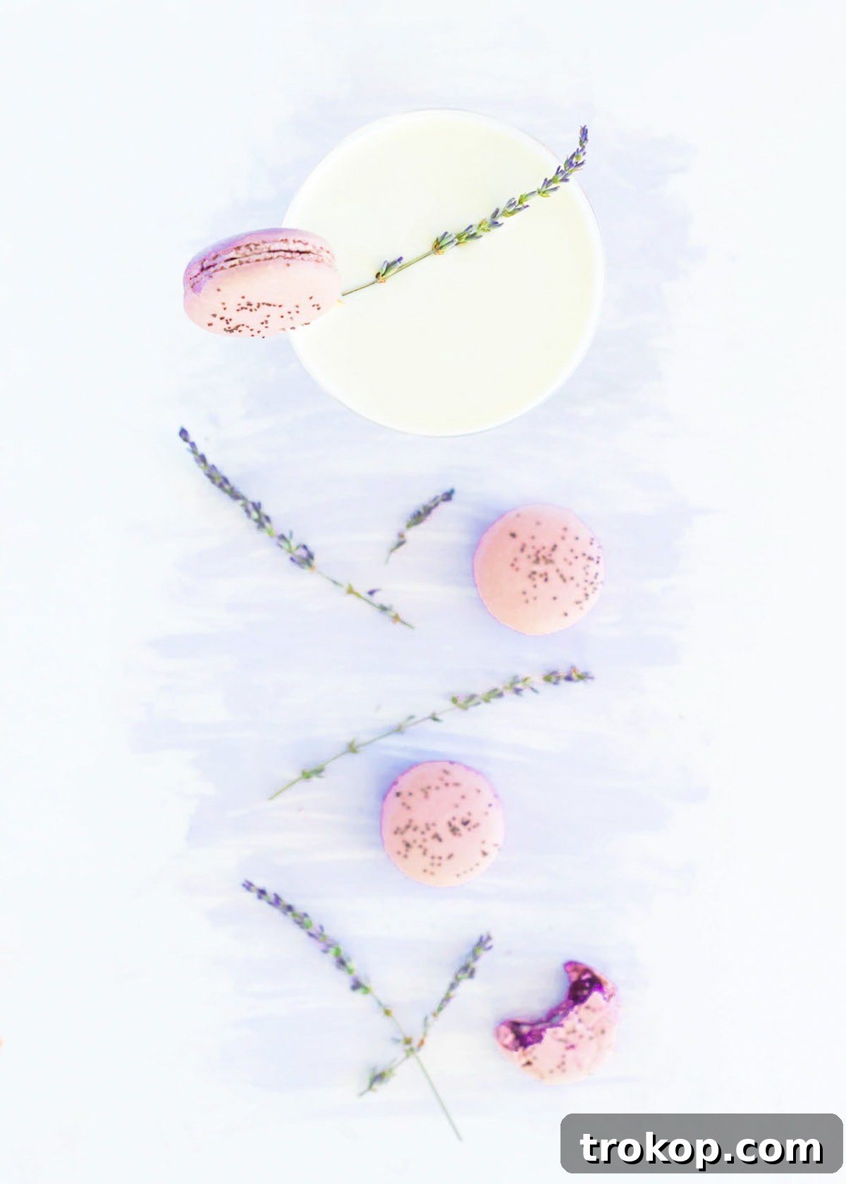 Pouring a freshly mixed macaron cocktail into a coupe glass.