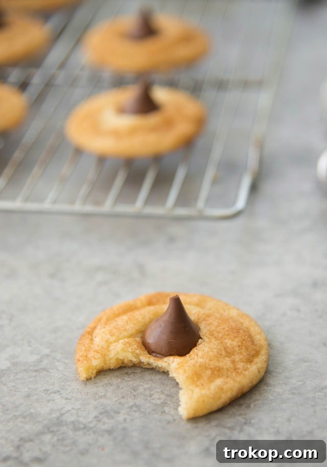 Snickerdoodle Kiss Cookies 2 Snickerdoodle Hershey Kiss Cookies
