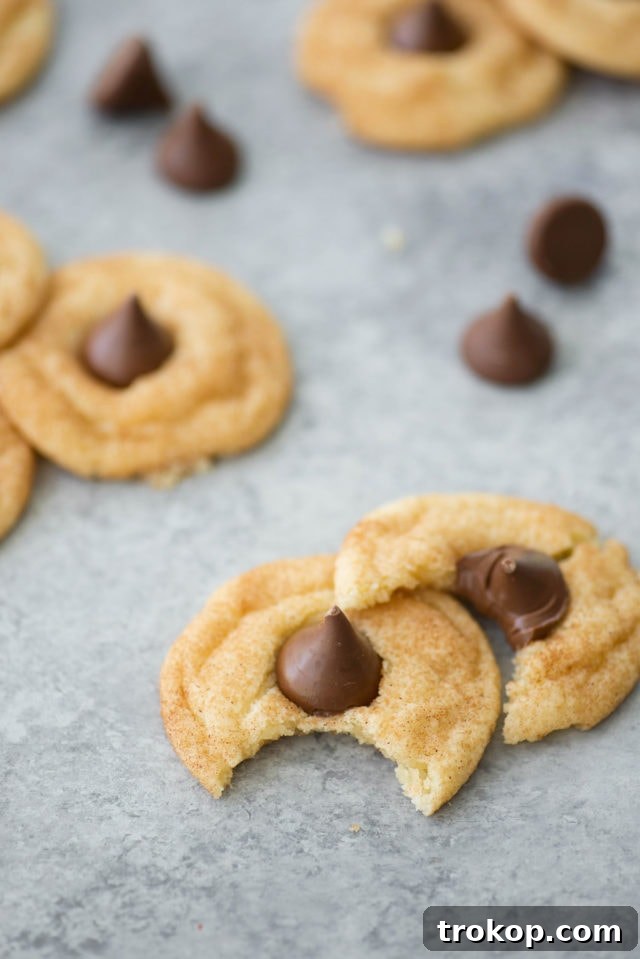 Snickerdoodle Kiss Cookies 4 Snickerdoodle Hershey Kiss Cookies on a plate