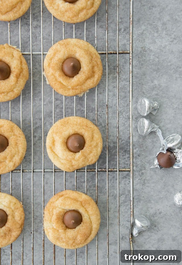 Snickerdoodle Kiss Cookies 6 Baking sheet of Snickerdoodle Hershey Kiss Cookies