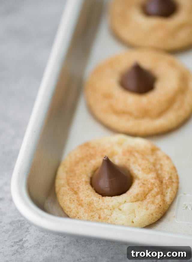 Snickerdoodle Kiss Cookies 7 Close up of a Snickerdoodle Hershey Kiss Cookie