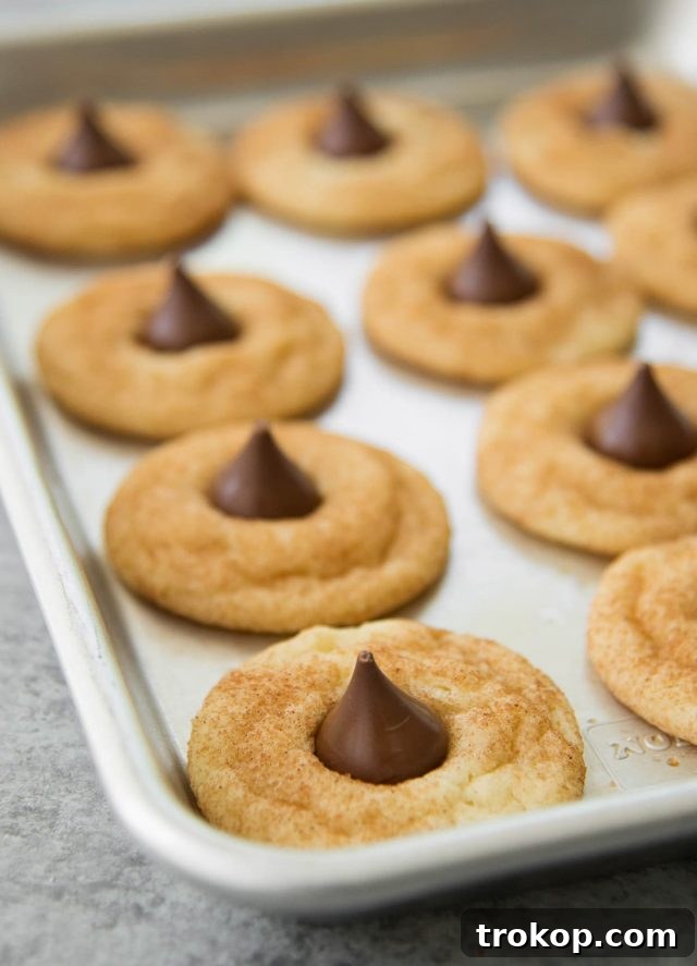 Snickerdoodle Kiss Cookies 8 Snickerdoodle Hershey Kiss Cookies in a bowl