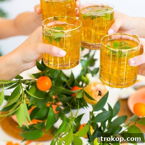 Sparkling Orange Nojito Mocktail, a virgin mojito recipe