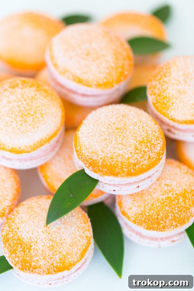 DIY fruit macarons for an orange themed party