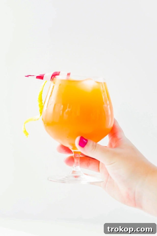 Paper Plane Garnish