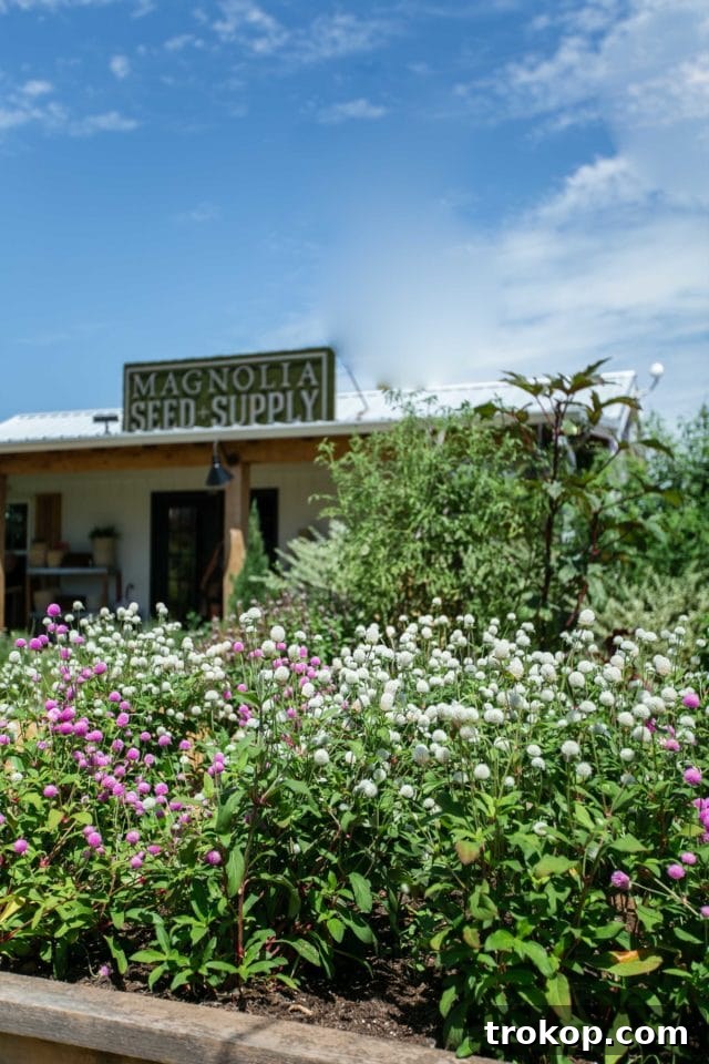 A small, charming coffee shop, Brû, perfect for a morning pick-me-up in Waco