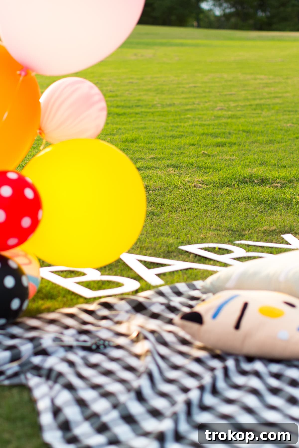 The adventure of a lifetime begins: We're having a baby! 3 We're having a baby! Announcement by top Houston lifestyle blogger Ashley Rose of Sugar and Cloth