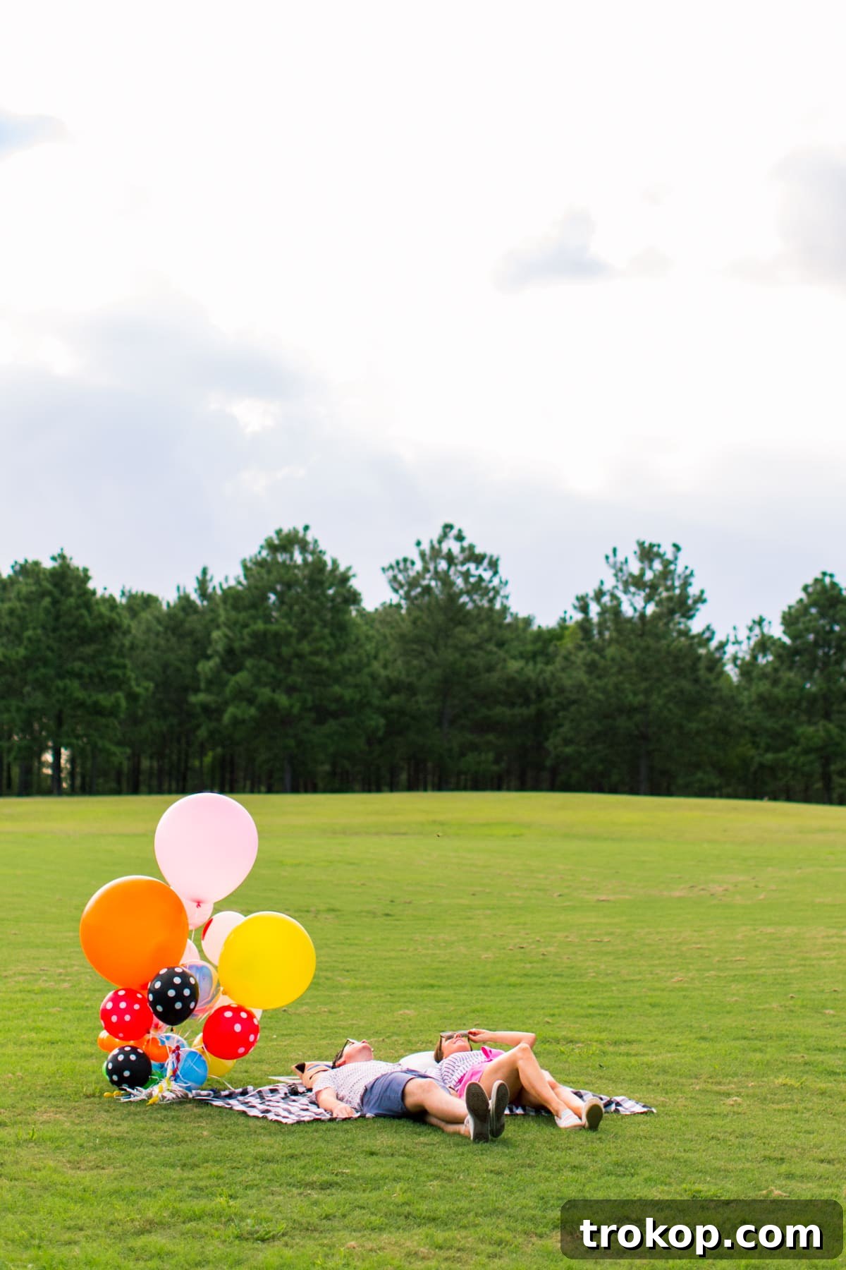 The adventure of a lifetime begins: We're having a baby! 5 We're having a baby! Announcement by top Houston lifestyle blogger Ashley Rose of Sugar and Cloth