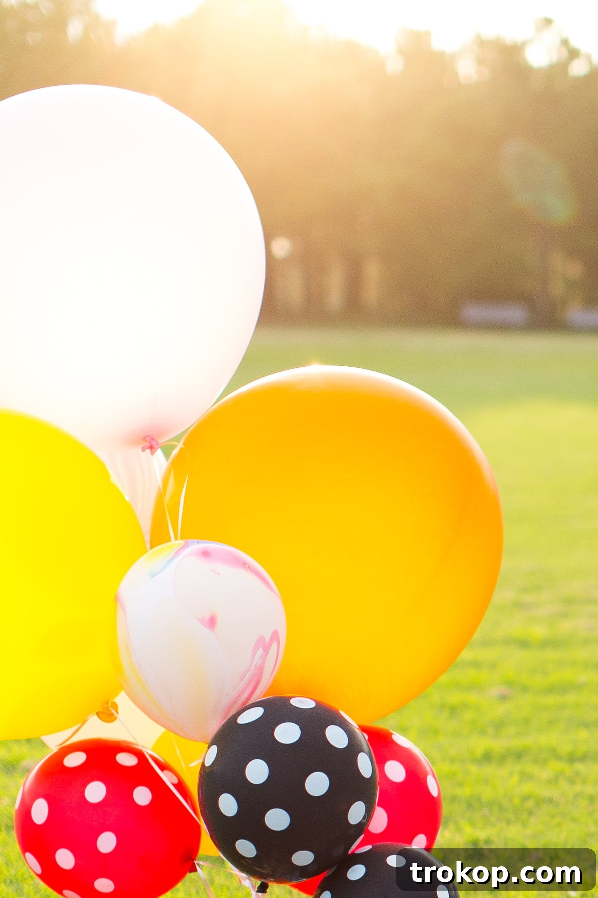 The adventure of a lifetime begins: We're having a baby! 6 We're having a baby! Announcement by top Houston lifestyle blogger Ashley Rose of Sugar and Cloth