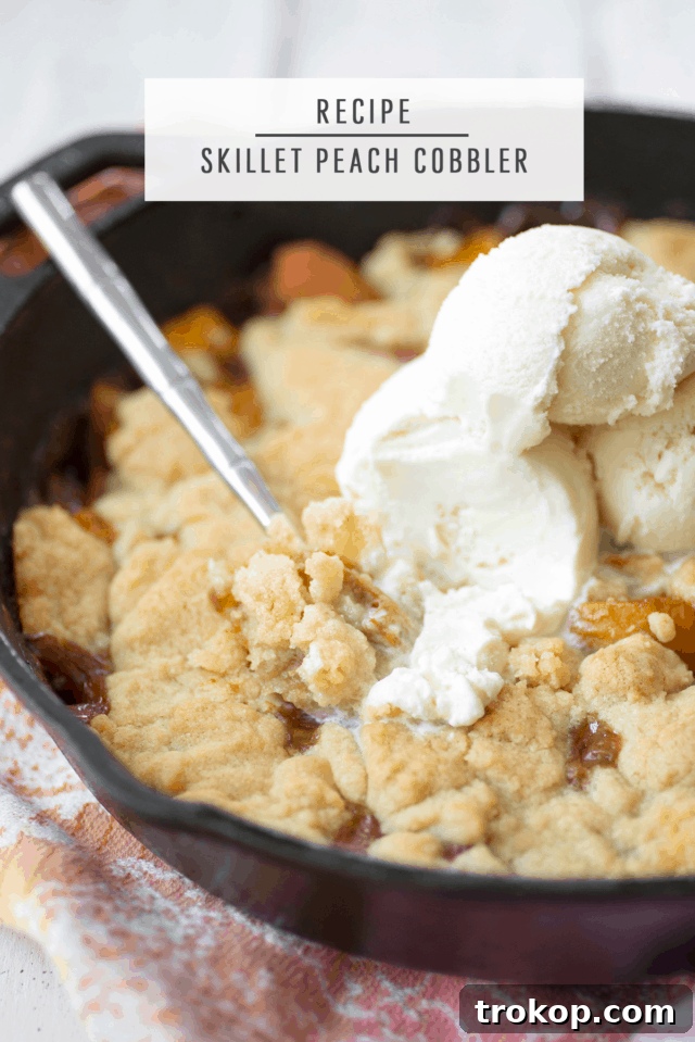 Rustic Skillet Peach Cobbler 6 Skillet Peach Cobbler Recipe by Ashley Rose of Sugar & Cloth, a top lifestyle blog in Houston, Texas